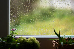 How to Dehumidify Your House