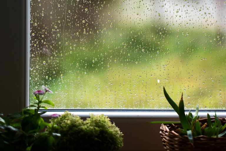 How to Dehumidify Your House