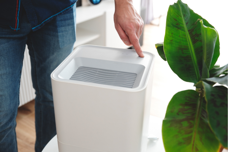 Humidity control for vacation homes Florida
