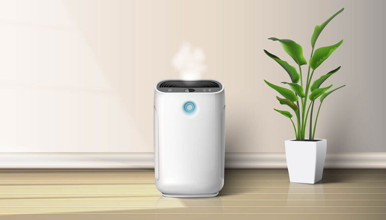 air filter vs air purifier