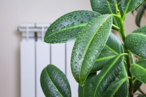 humidity in southwest florida