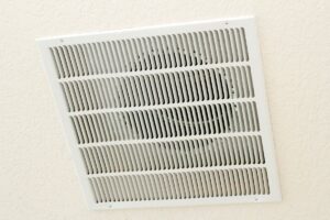 mold in air vents