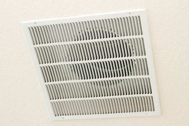 mold in air vents